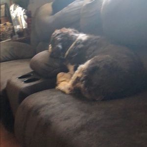 Meet your Posher, Dorothy